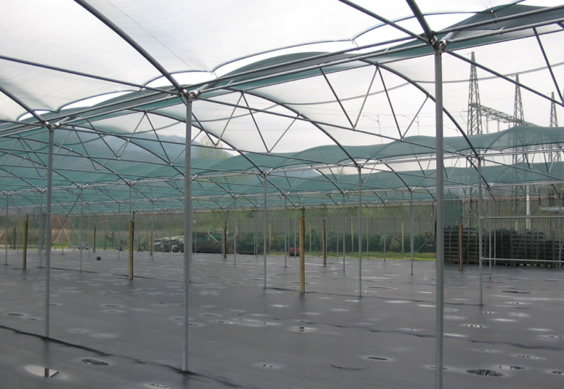 Ombrai e coperture