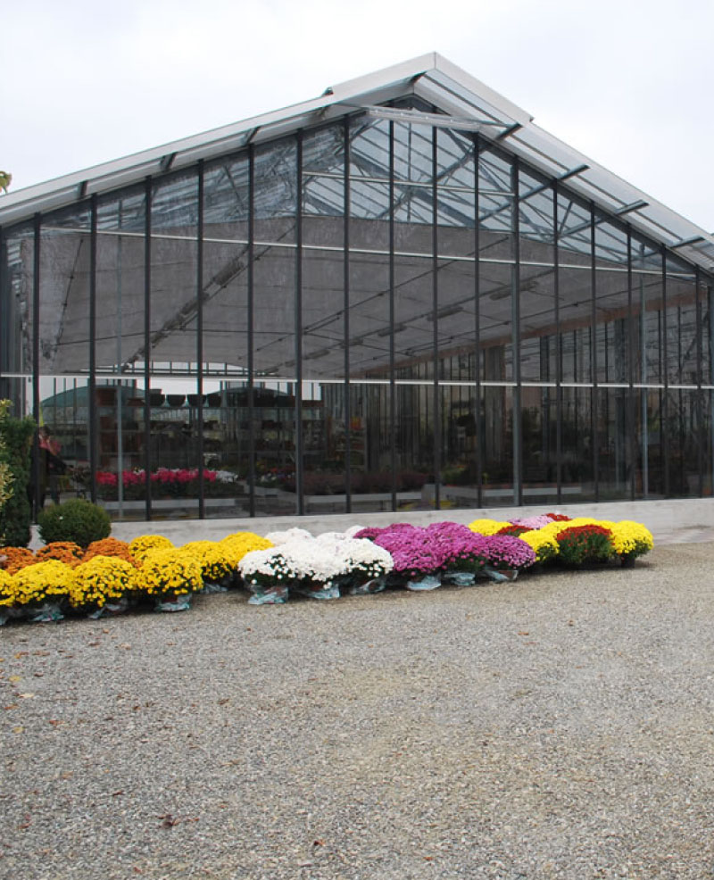 Serre per garden center
