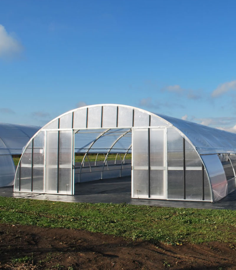 Hangar